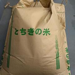 令和４年栃木県佐野市産 お米 玄米 ２０キロ ③