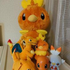 【決まりました】ポケモン　アチャモ　リザードン　ピチュウなど