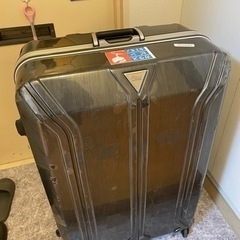スーツケース(大きめサイズ)
