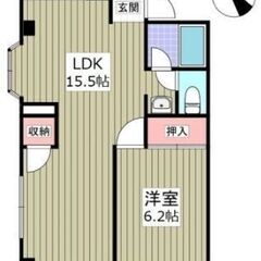 【1LDK】敷金礼金ゼロ！初期費用安い✨京成本線「京成西船」駅 ...