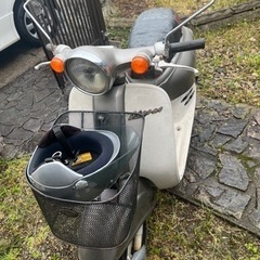 ホンダ ジョルノ 実働車