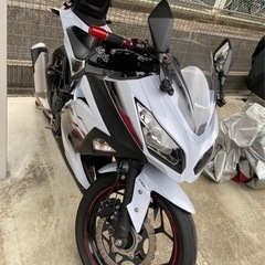 【動画あり】NINJA250スペシャルエディションABS(EX2...