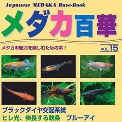 【取扱店】メダカ百華15入荷しました‼️★名古屋改良めだか直売所★