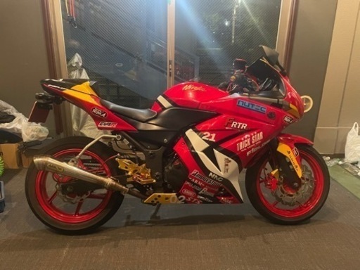 ヒョースンGT250R　最終値下げ！！ 最終値下げ！Kawasaki Ninja250R エヴァンゲリオン2号機仕様 HYOSUNG