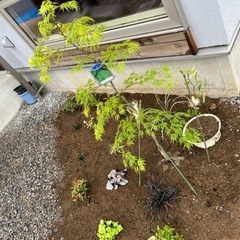 庭木を植えるための土をください。