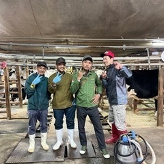 堺市南区で酪農のアルバイト