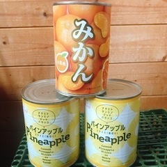 缶詰3個♪