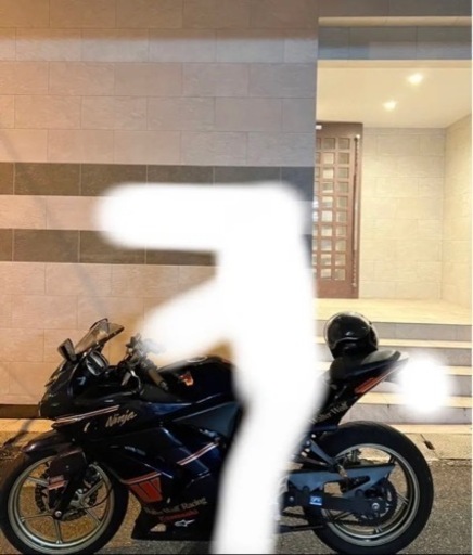 カワサキ NINJA250R Ninja250r NINJA250