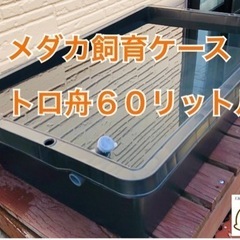 中古　メダカ飼育ケース　６０リットル