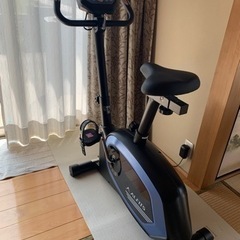 ALINLO フィットネス　プログラムバイク　6319