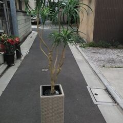 レプリカ観葉植物  置き台付き ※無償配達有り