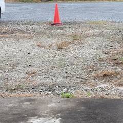 ✨除草剤散布します✨駐車場やちょっとしたスペースに👀面倒な草むしりから解放😍 − 埼玉県