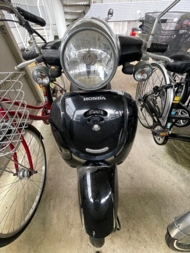 【値段交渉○】基本整備済み HONDA ジョルノ バッテリー新品