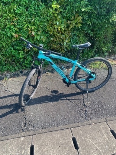 ビアンキ　MTB  43 (160-180cm)
