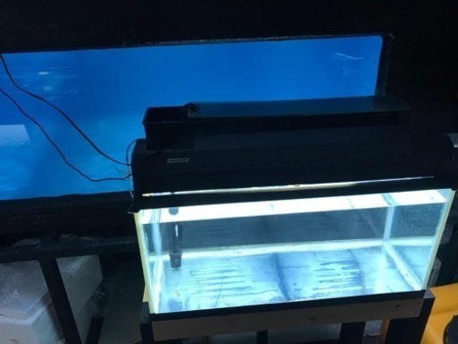 終了※大型☆水槽 120cm 専用台付き NISSO