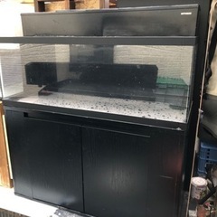 特注1200 450 450アクリル水槽　厚みミリ　美品　約1年使用