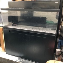 特注1200 450 450アクリル水槽　厚みミリ　美品　約1年使用