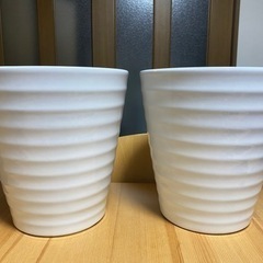 胡蝶蘭の陶器鉢