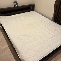 コアラマットレス クイーン フレーム付き（+ベッドパット）