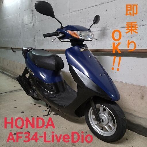 ﾒﾝﾃ済み! 即乗り  ﾗｲﾌﾞﾃﾞｨｵ!!