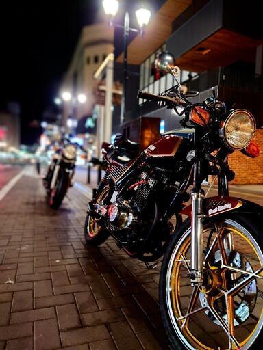gsx250e ゴキ