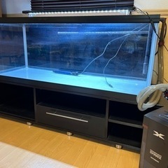 ☆ お値下げ☆120cm ガラス水槽フルセット☆