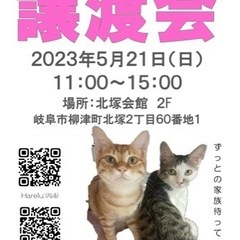 柳津町🤍🩷保護猫譲渡会🩷🤍