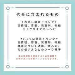 活きた手作り梅酵素ドリンク教室 - 美容健康