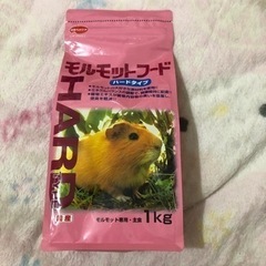 モルモットの餌