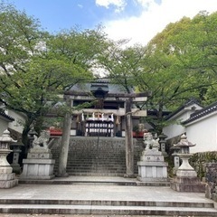 5/21(日)一緒に京都で神社巡りしませんか？🌱(*´꒳`*)