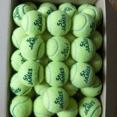 中古テニスボール（セントジェームズ製）70個