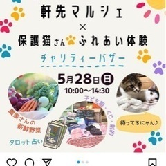 フリマ 🐱5月28日(日)🐱保護猫チャリティーバザーand軒先マ...