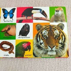 first 100 animals　英語の動物図鑑