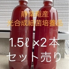 静楽庵PSB培養品(光合成細菌)1.5ℓ×2本セット