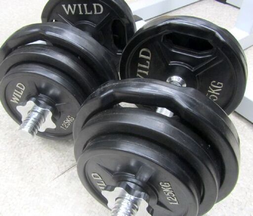 WILD FIT トレーニングジムセット 100kgバーベルダンベル ホームジム