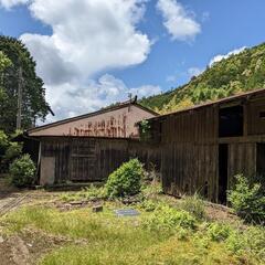 三重県熊野市の山林