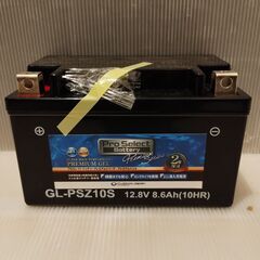 【ネット決済】新品未使用 プロセレクト PSZ10S バッテリー...