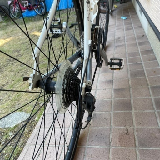お話中　ロードバイク　Trek