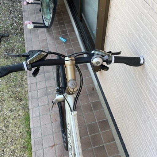 お話中　ロードバイク　Trek