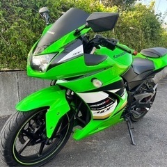 【ネット決済・配送可】ninja250 ex250k  