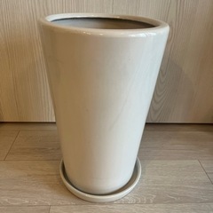 白い陶器の植木鉢と植物の支柱の棒