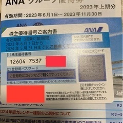 ANA 国内線割引 株主優待 チケット 2023-2024