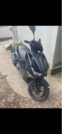 シグナス グリファス 新古車 ブラック