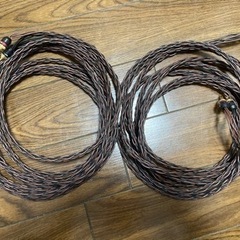 BOSE 101MM【連番】、アンプ、ケーブル付き