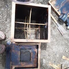 日本蜜蜂入居中巣箱です。