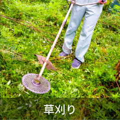 すぐ働ける！【6400円～】 草刈り【富山県氷見市柳田字浜畑】単...