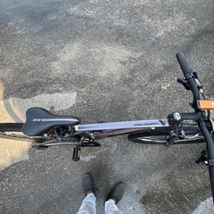 GTパロマーアロイ