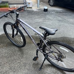 GTパロマーアロイ