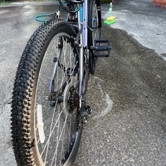 GTパロマーアロイ