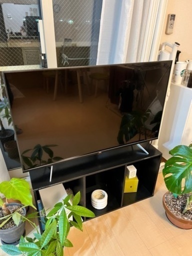 TCL 4K対応 液晶テレビ